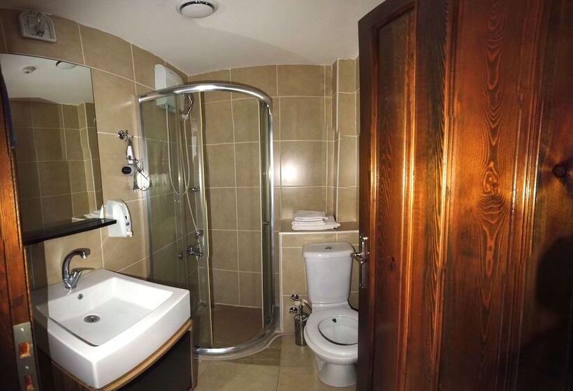 オーシャンビュースタンダードルーム, Mehmet Efendi Mansion &