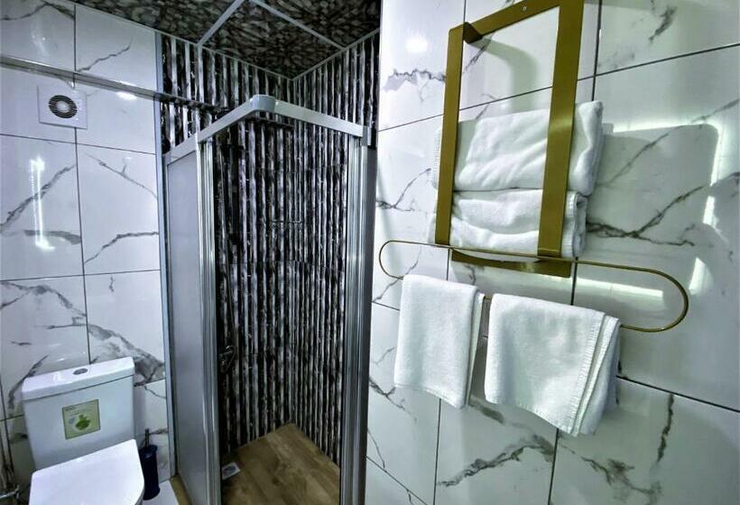 اتاق استاندارد, Orange Airport