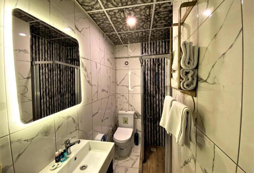 اتاق استاندارد, Orange Airport