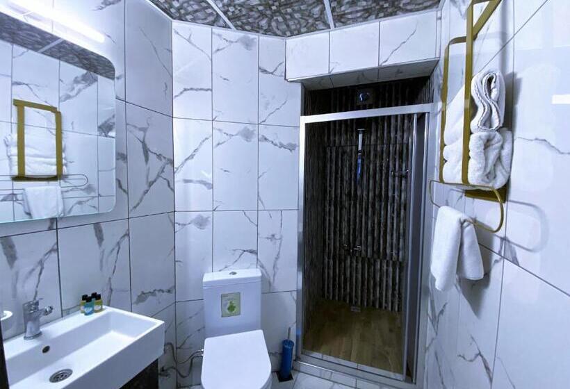 اتاق استاندارد سه نفره, Orange Airport