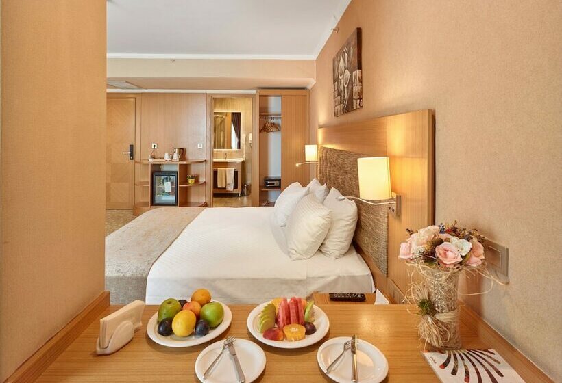 اتاق استاندارد یک نفره, Palmiye Hotel Gaziantep