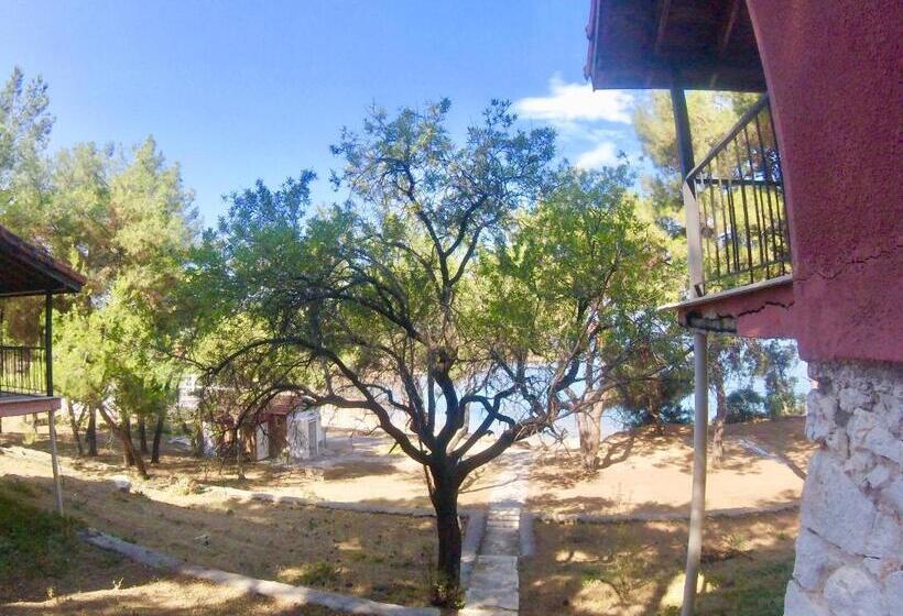 Номер Стандарт, Rainbow Bay Ozdere Beach