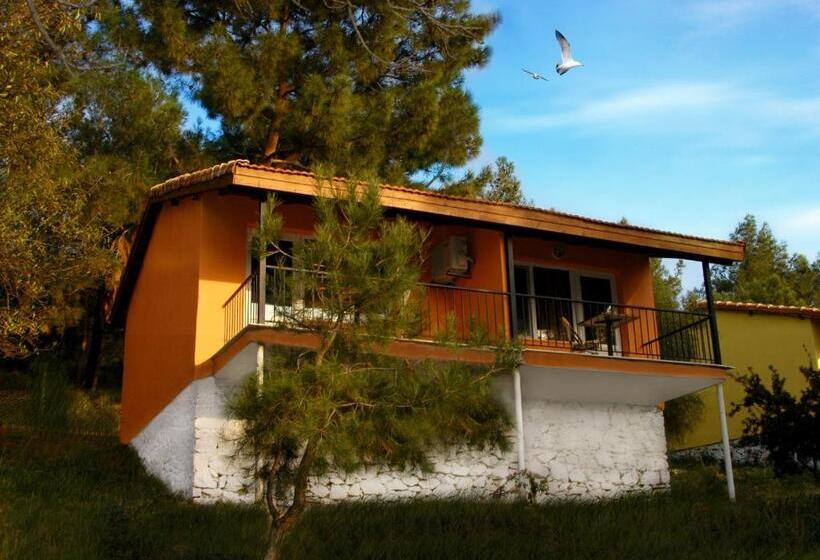 标准间, Rainbow Bay Ozdere Beach