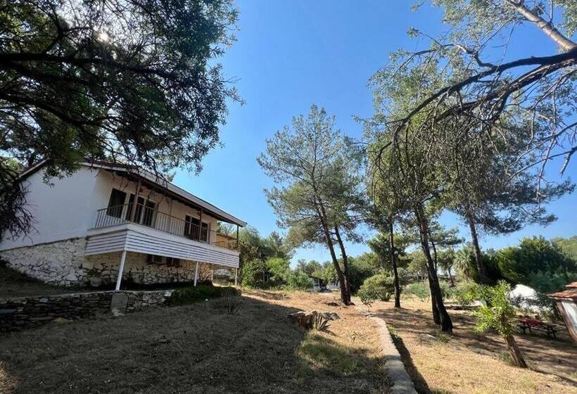 海景套房, Rainbow Bay Ozdere Beach