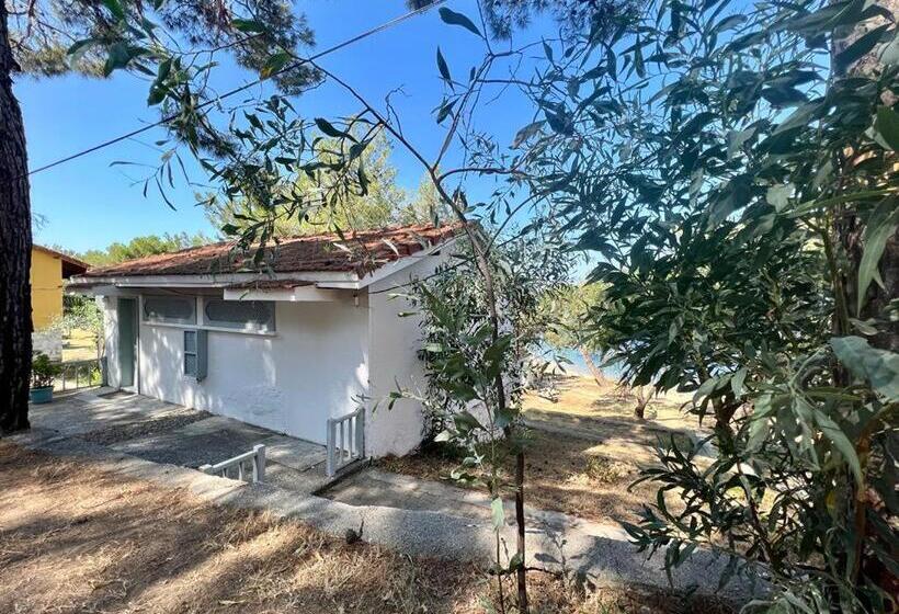 海景套房, Rainbow Bay Ozdere Beach