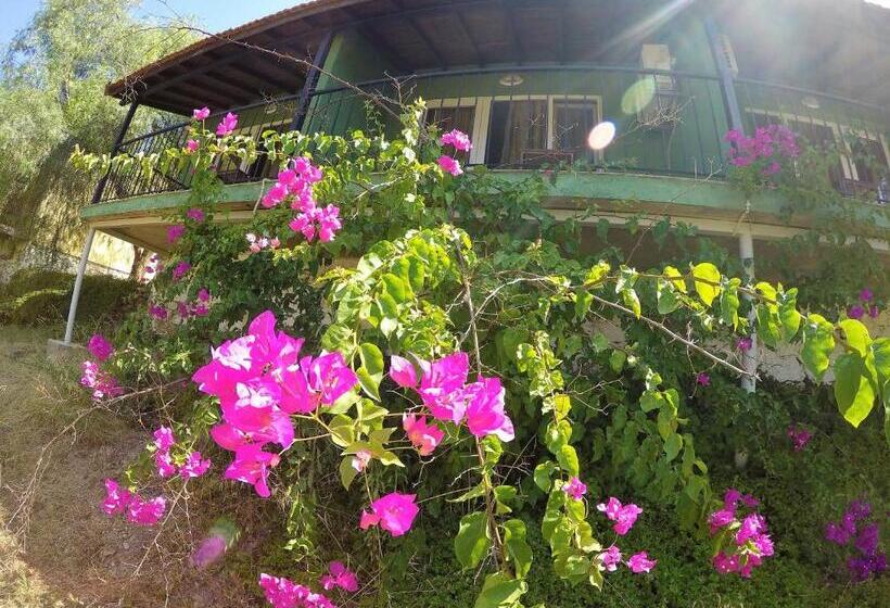 豪华房间, Rainbow Bay Ozdere Beach