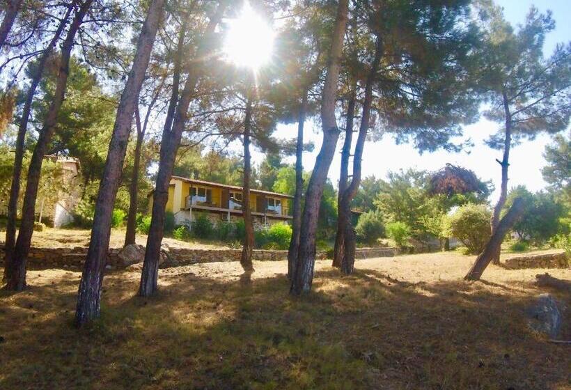 豪华房间, Rainbow Bay Ozdere Beach