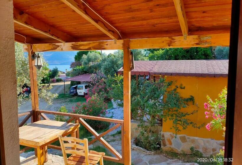 חדר סטנדרט, Selenes Pansiyon