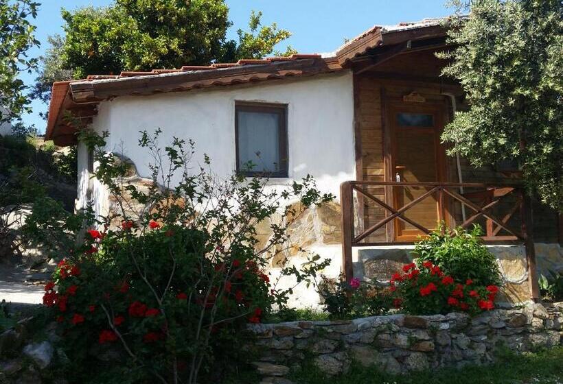 חדר סופריור לארבעה, Selenes Pansiyon