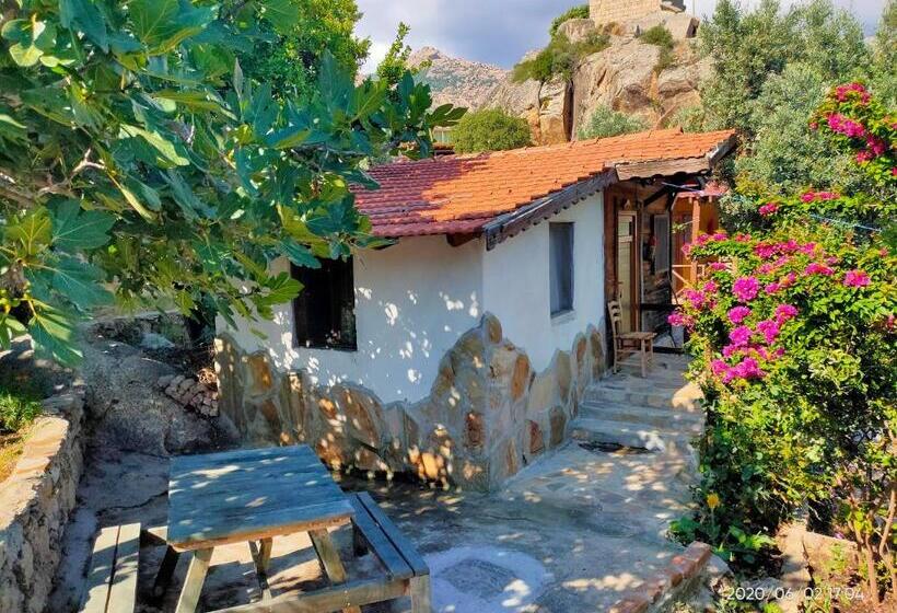 חדר סופריור לארבעה, Selenes Pansiyon