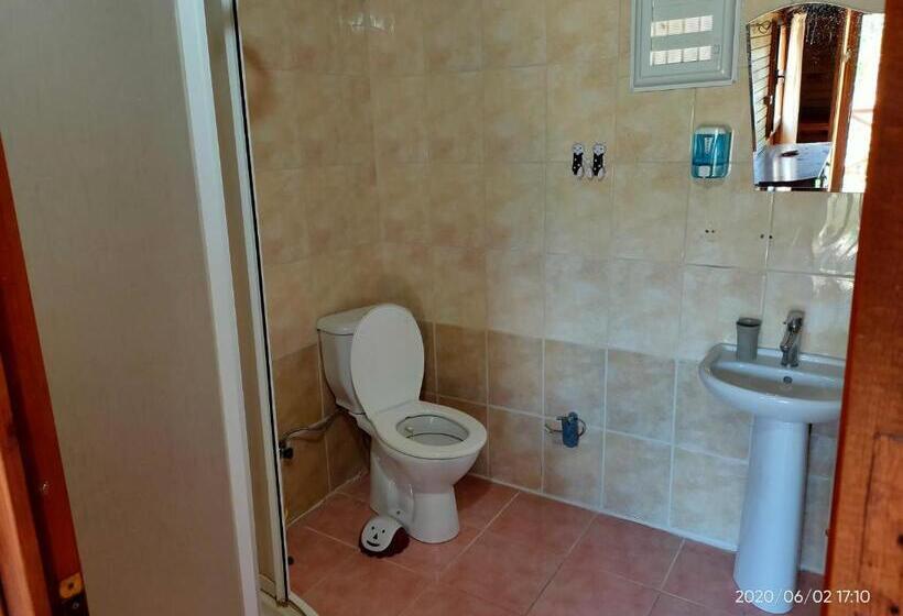 בקתה סטנדרטית, Selenes Pansiyon