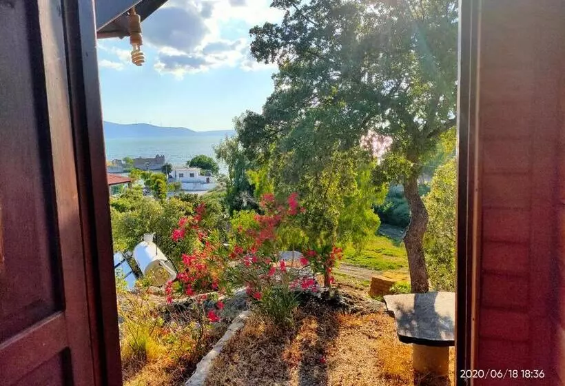 Standard studio with lake view, Selenes Pansiyon