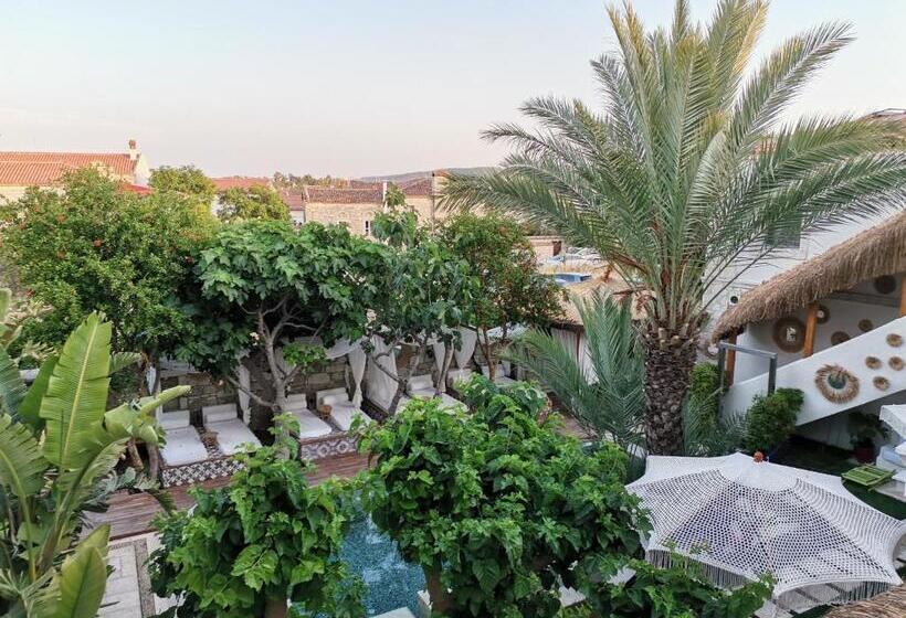 Номер Стандарт, The Abc