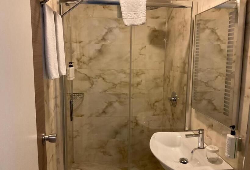 غرفة قياسية, Zade