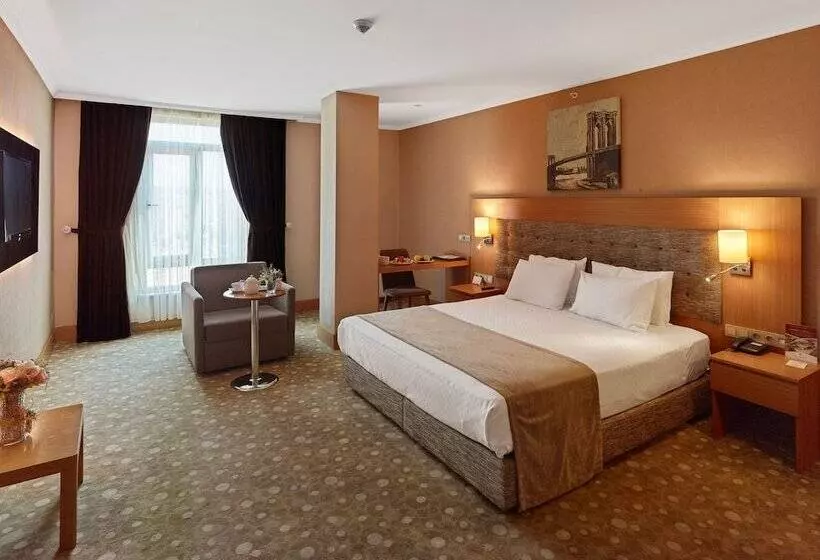 اتاق استاندارد, Palmiye Hotel Gaziantep