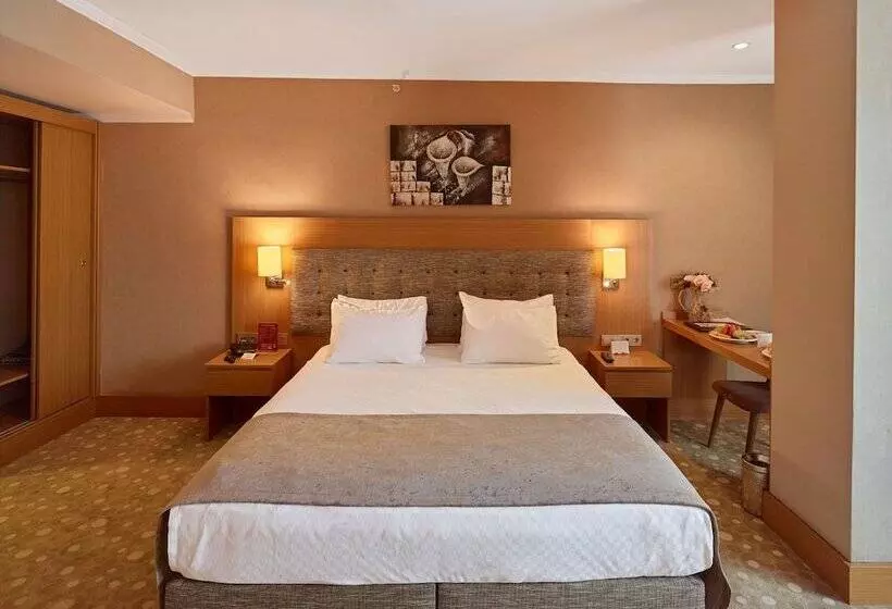 اتاق استاندارد یک نفره, Palmiye Hotel Gaziantep