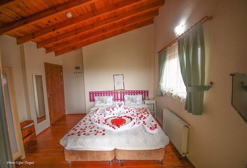 اتاق استاندارد, Agva Tartaruga Motel