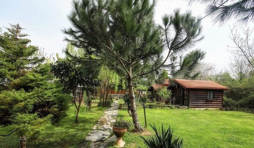 بانگلوی استاندارد, Agva Tartaruga Motel