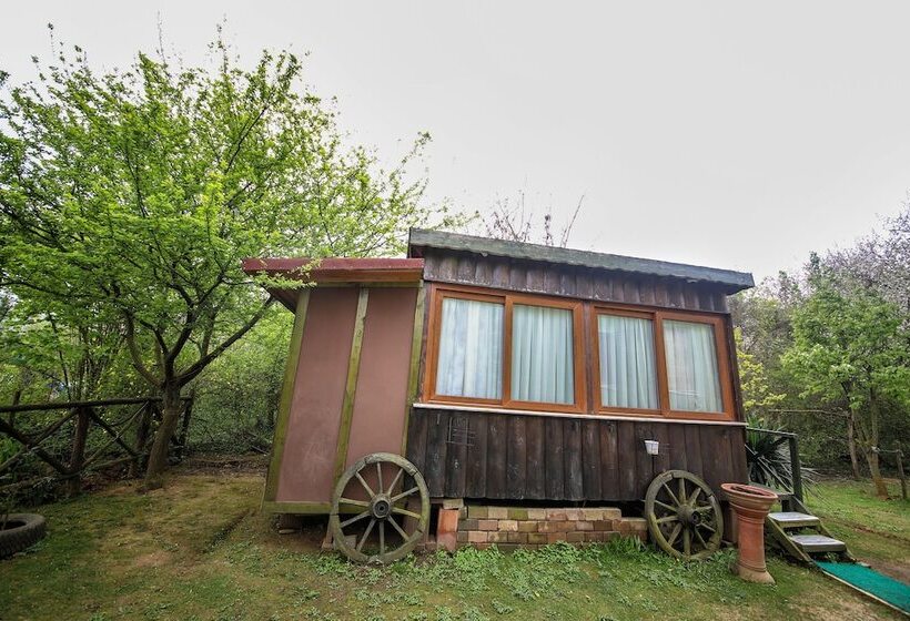 بنجلو قياسى, Agva Tartaruga Motel