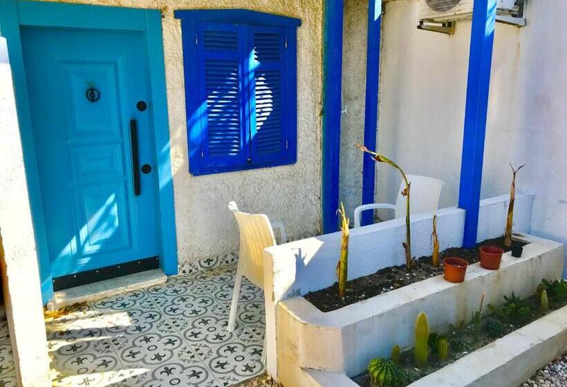 스탠다드 룸 가든 전망, Barba