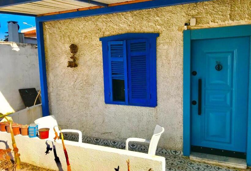 스탠다드 룸 가든 전망, Barba