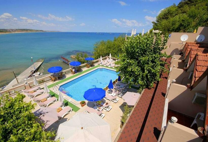 标准间带山景, Erzurumlu