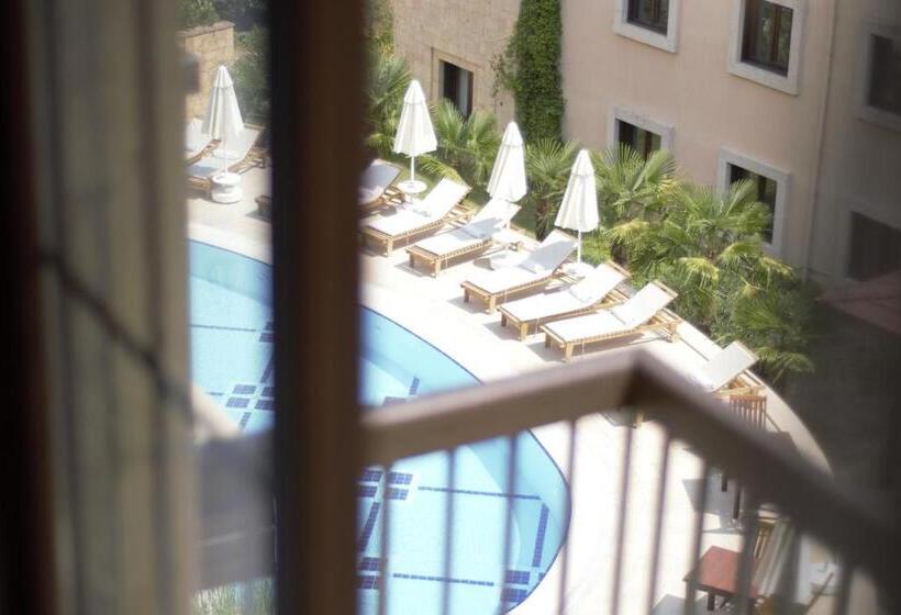 패밀리 룸, Ida Tas Konak