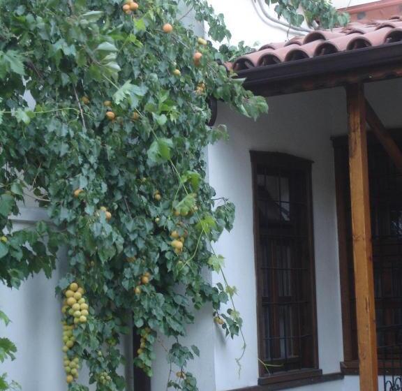 اتاق اکونومی, Konya Dervish