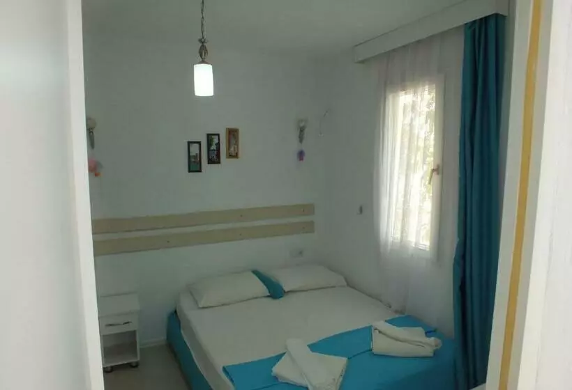 اتاق استاندارد, Nisa
