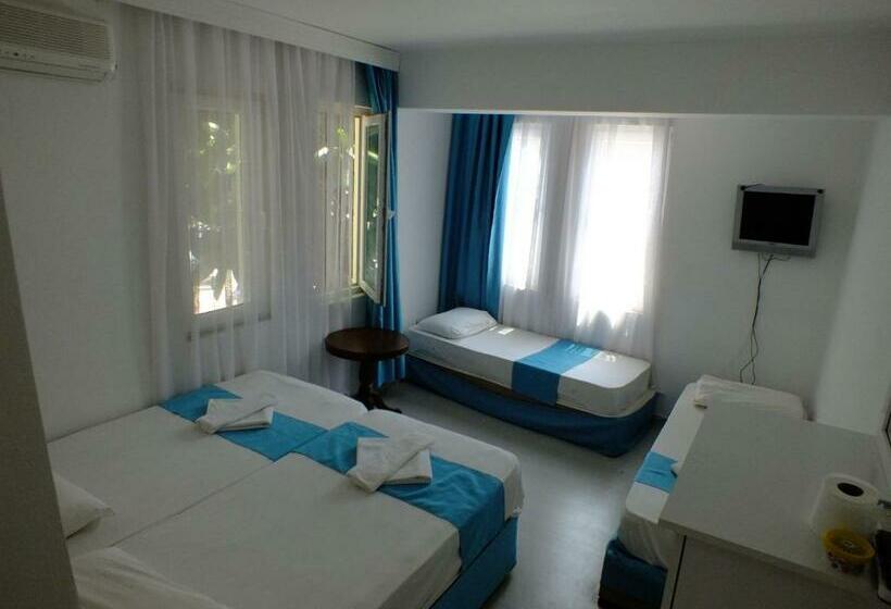 四人标准间, Nisa