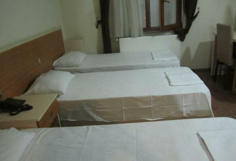 Economy Triple Room, özgür