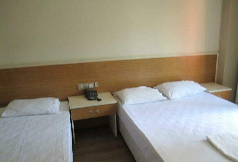 اتاق استاندارد, özgür