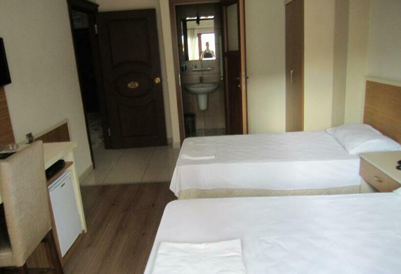 اتاق استاندارد, özgür