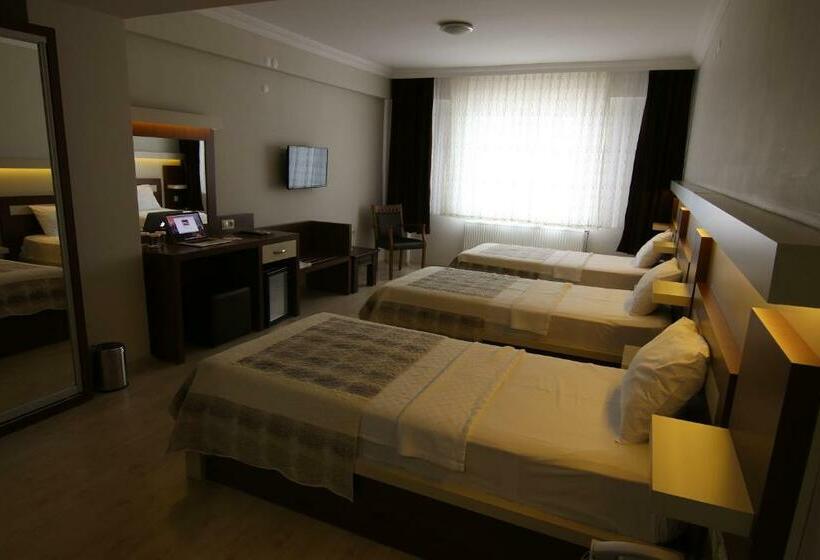 غرفة كلاسيكية ثلاثية, Royal Bilgic