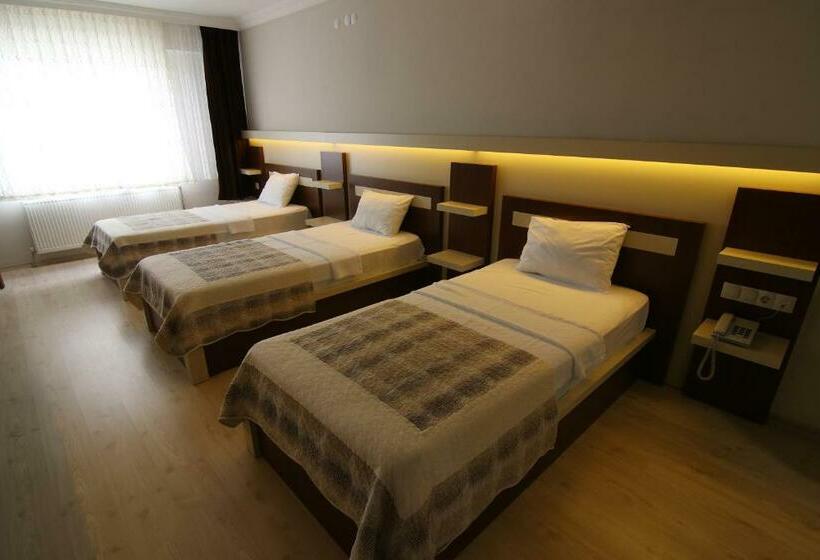 غرفة كلاسيكية ثلاثية, Royal Bilgic