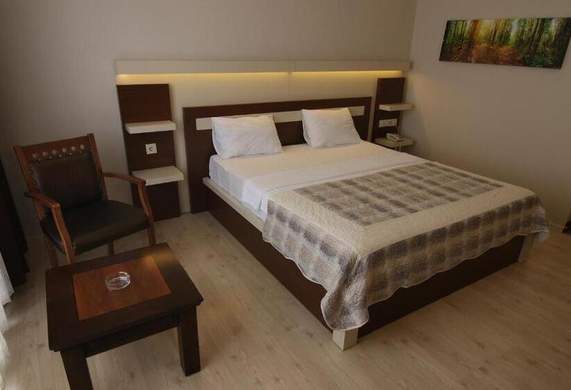 غرفة قياسية فردية, Royal Bilgic