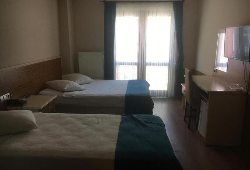 اتاق استاندارد, özgür