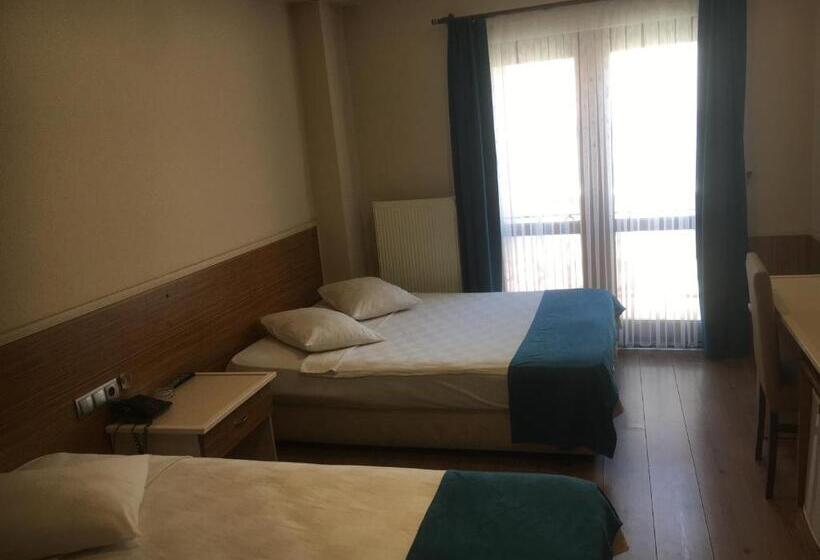 اتاق استاندارد, özgür