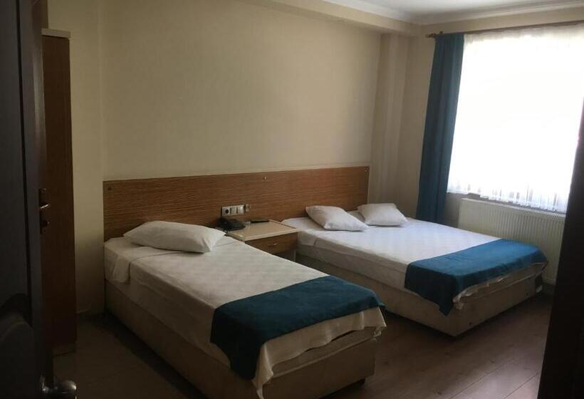 اتاق استاندارد, özgür