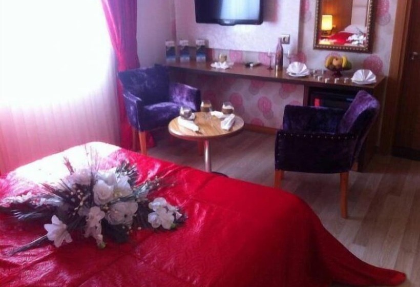 اتاق استاندارد, Ziyapasa Park