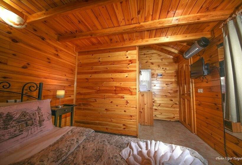 بنجلو قياسى, Agva Tartaruga Motel