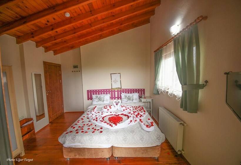 غرفة قياسية, Agva Tartaruga Motel