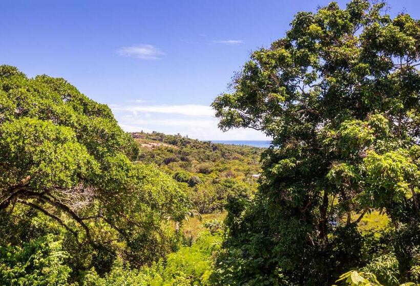 סוויטה דלוקס, Pousada Hospedaria Do Quadrado
