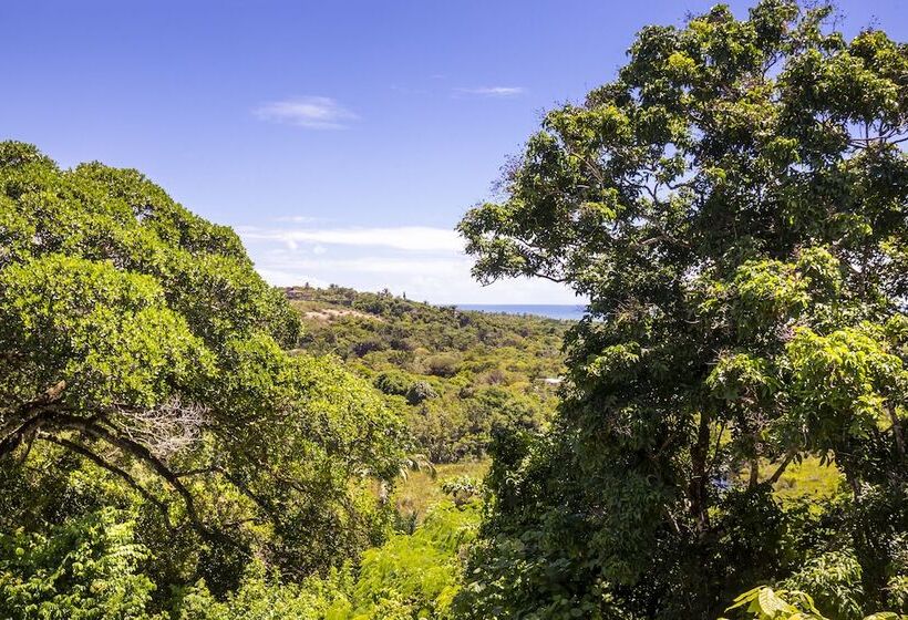 סוויטה עם טרסה, Pousada Hospedaria Do Quadrado