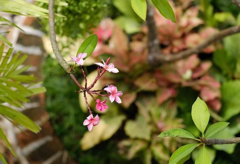 חדר דלוקס נוף לגינה, Baan Imm Sook Resort