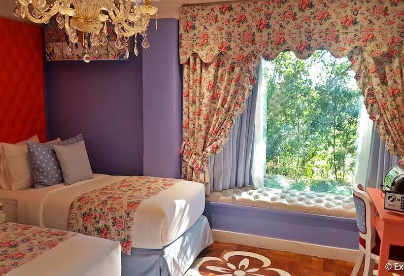 חדר סופריור, Kamiseta