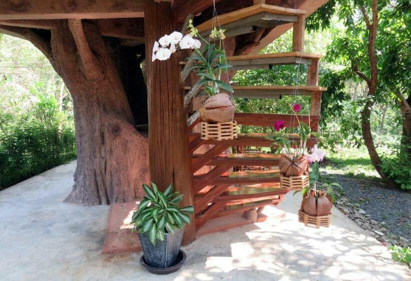 اتاق لوکس با بالکن, Macura Resort