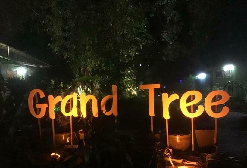 Шале Superior 1 Спальня, Grand Tree