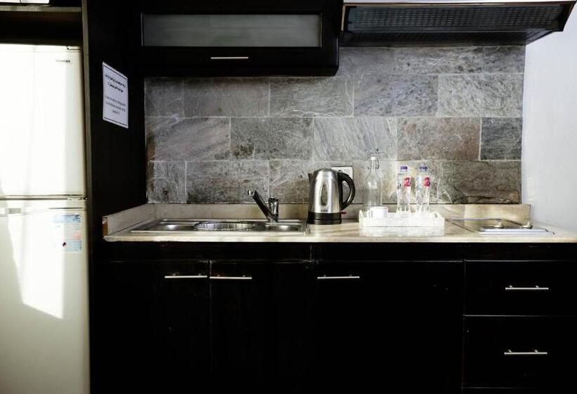 سوییت اجرایی, Newcity Hotel & Suites