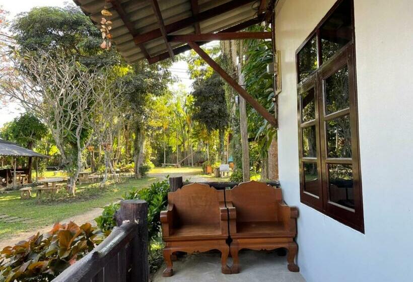 اتاق استاندارد, Chiang Dao Hostel